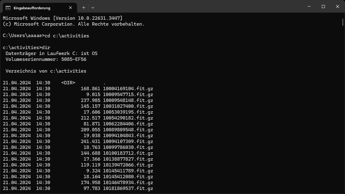 Strava Aktivitäten übertragen