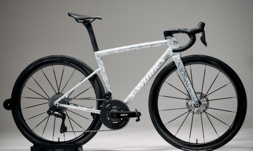 Custom Bike Build – ein starker Trend nicht nur in 2025?