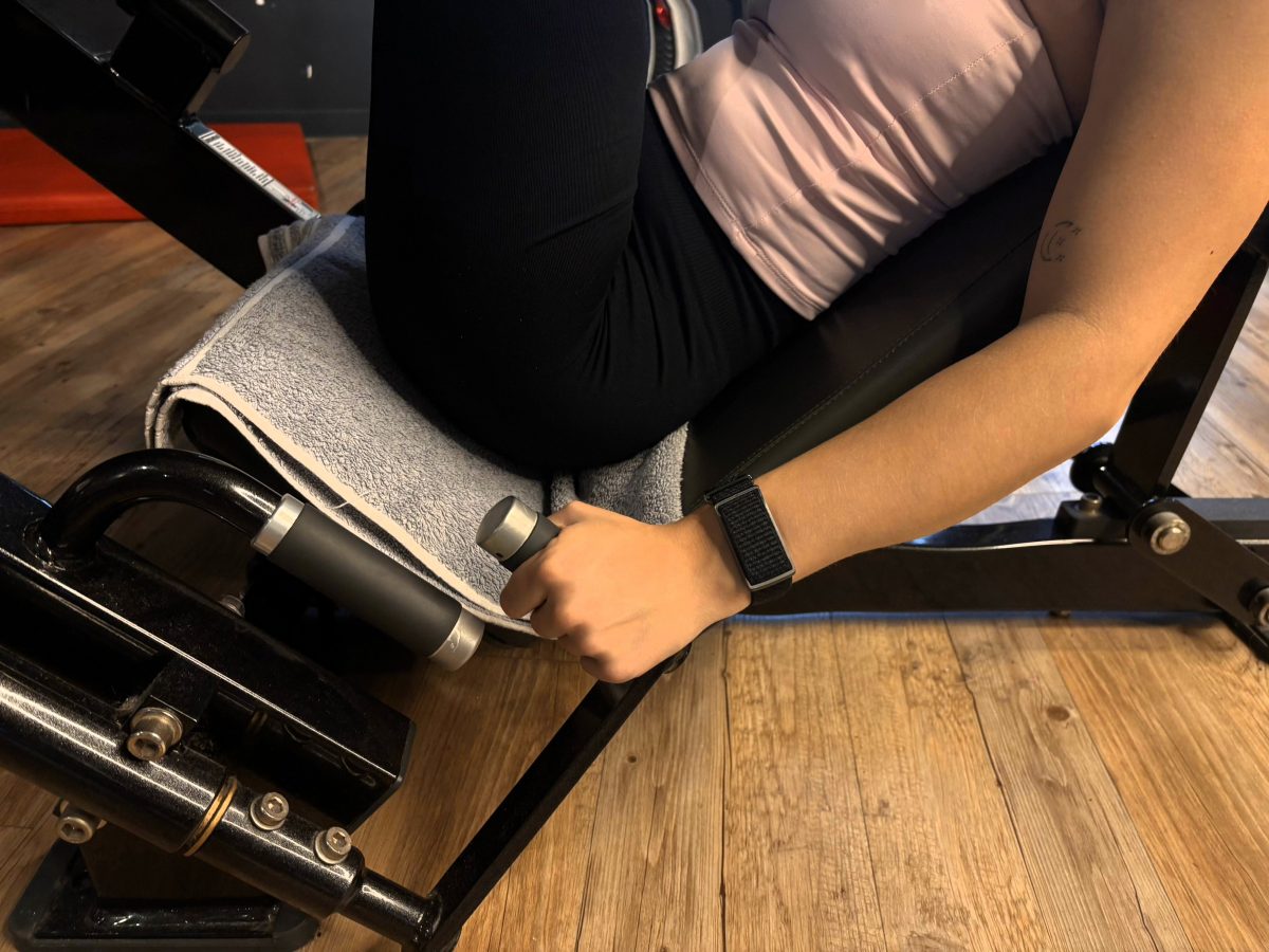 Polar Loop Erfahrung