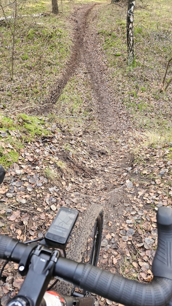 Beste Gravel Schaltung