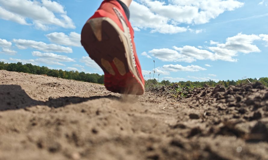 Powerup beim Trailrunning: Der Salomon S/LAB PULSAR 4 in der Praxis