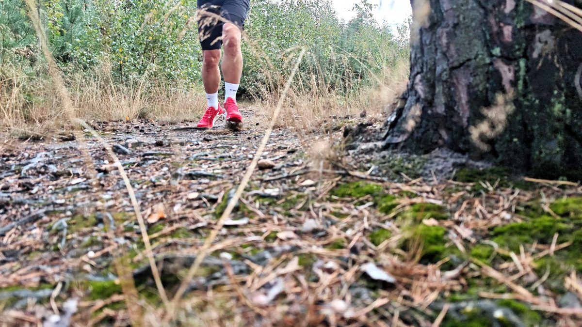 Salomon S/LAB PULSAR 4